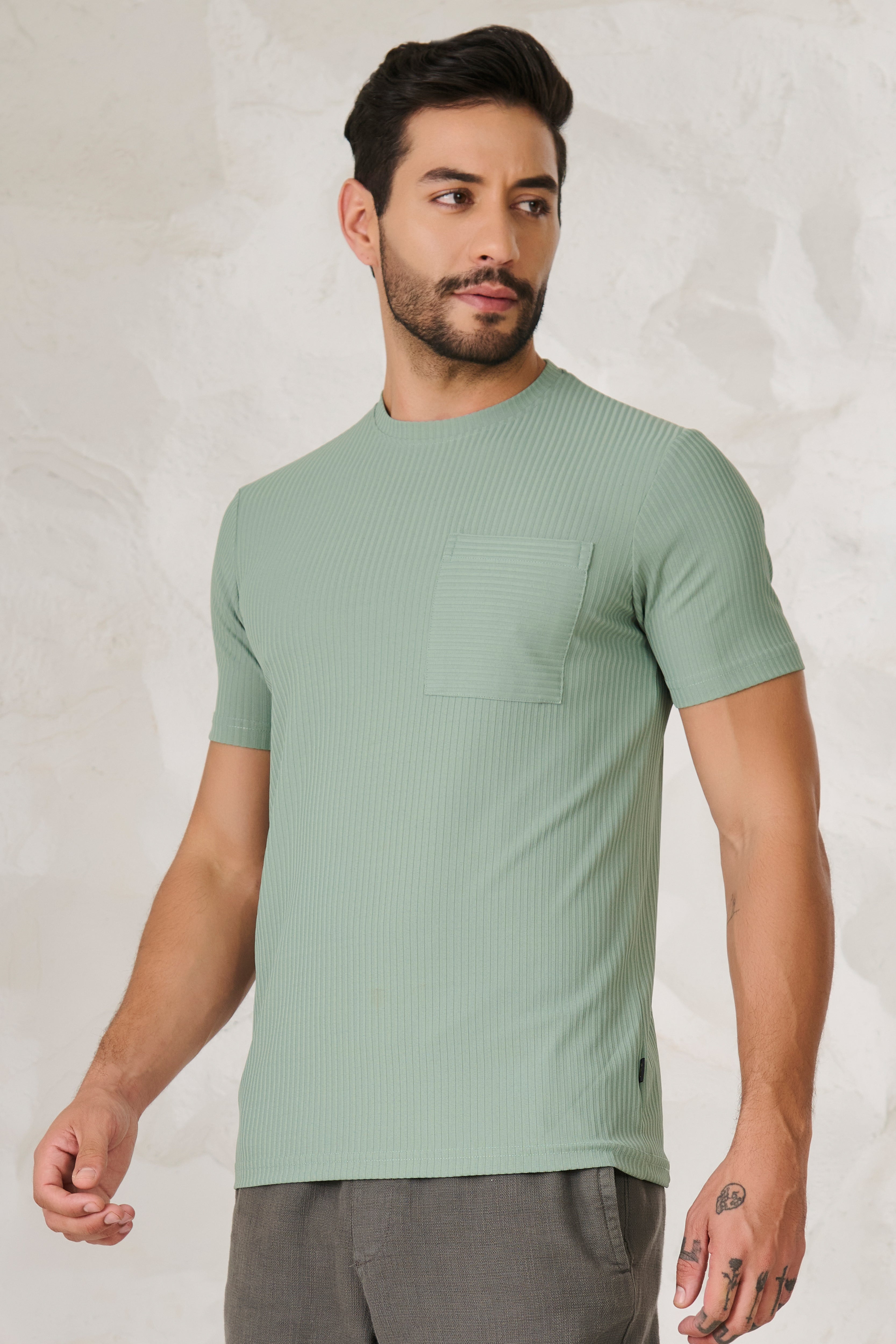 Buy Pin Stripe Textured T-Shirt - Pista Online Shopping view 2