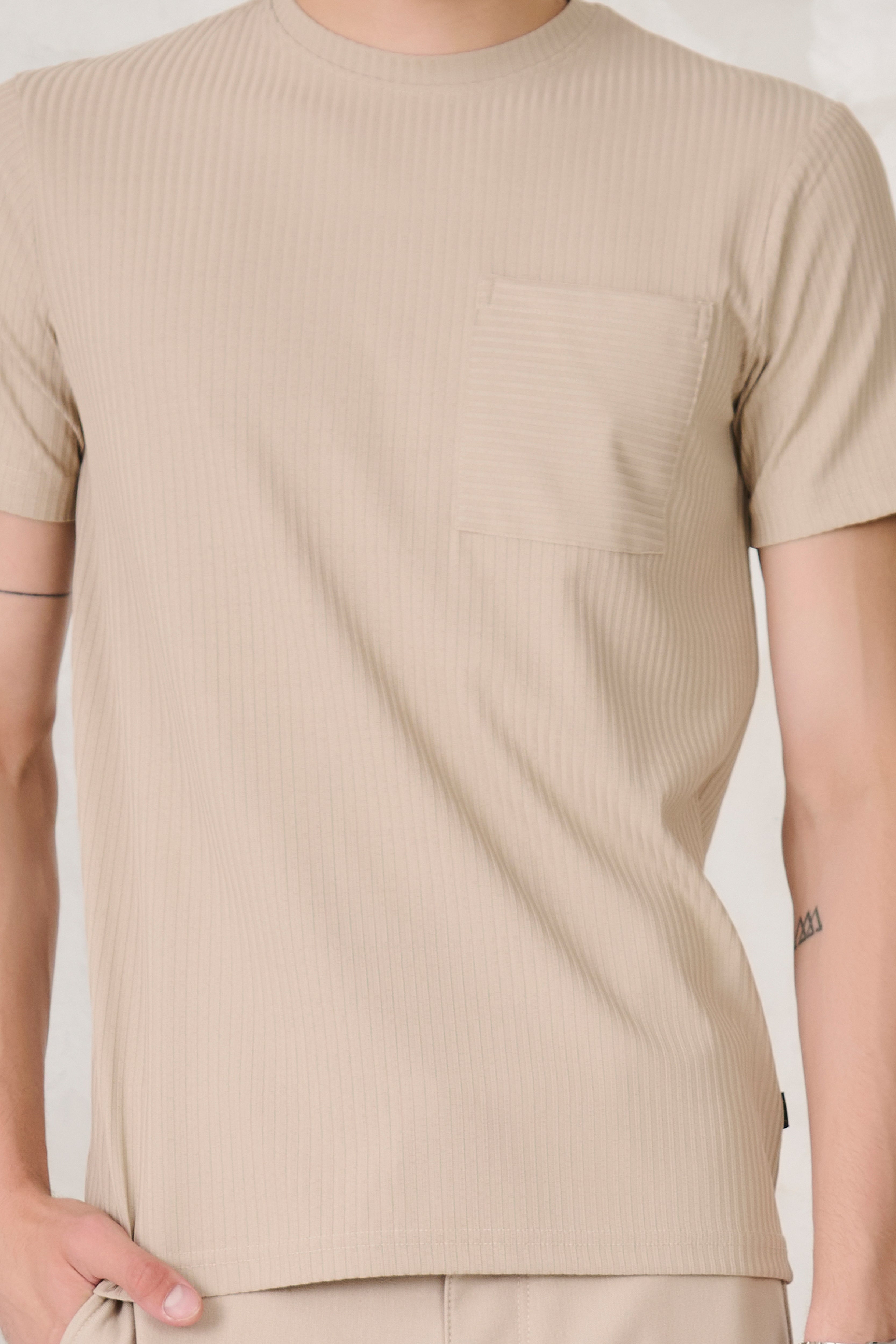Buy Pin Stripe Textured T-Shirt - Fawn Online Shopping view 3