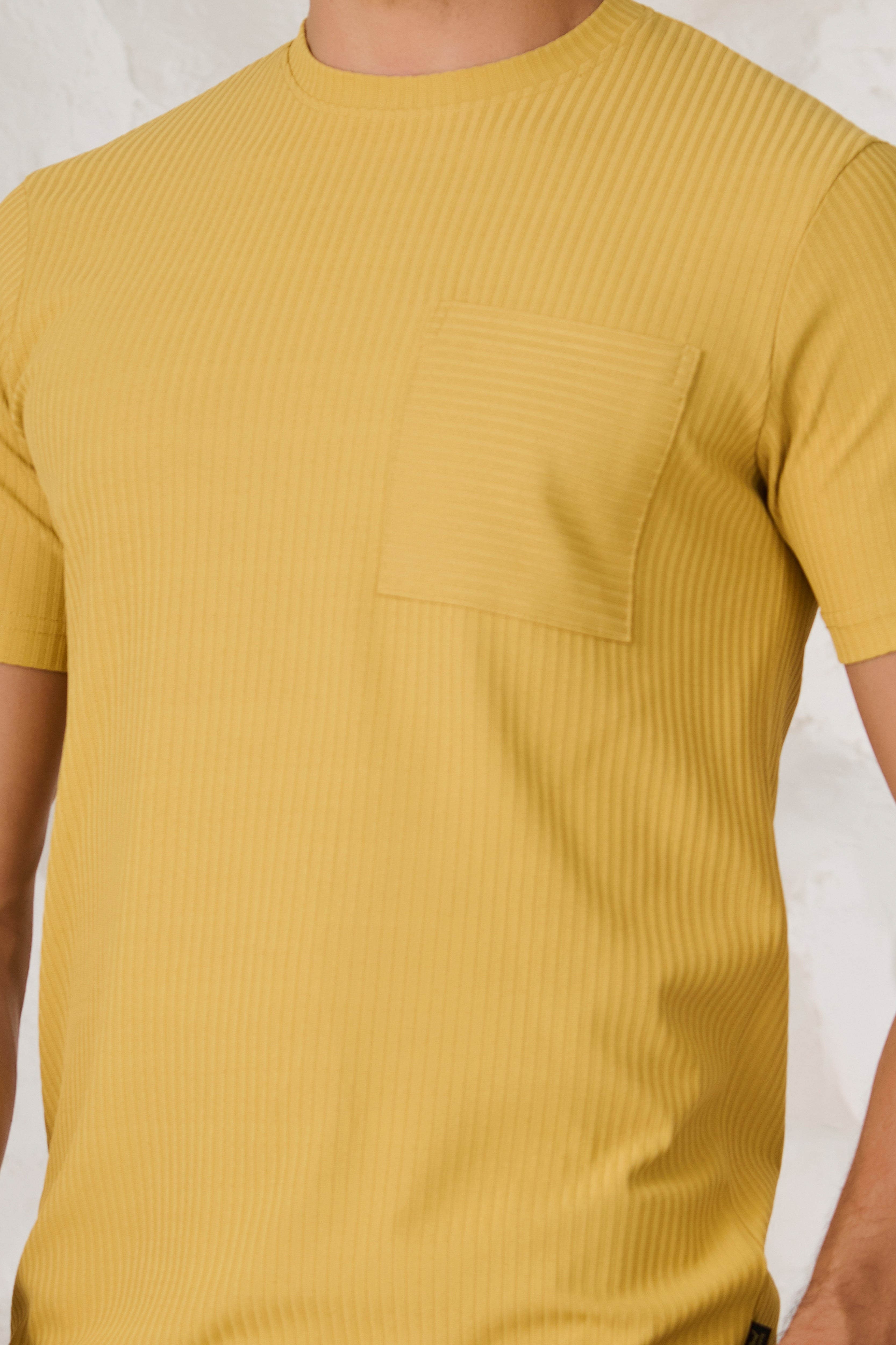 Buy Pin Stripe Textured T-Shirt - Mustard Online Shopping view 3