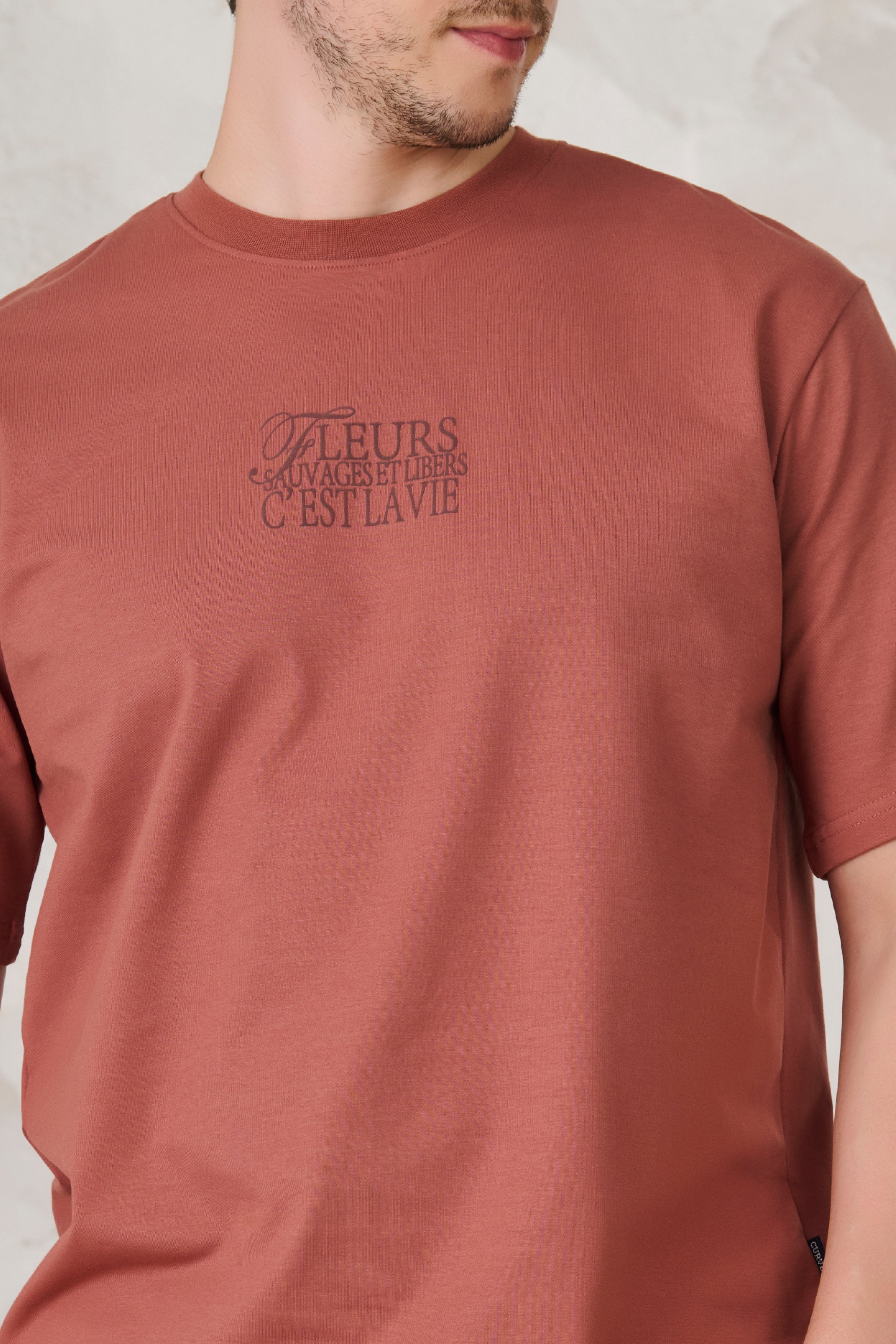 Buy Paris Roses Graphic Oversized Stretch T-Shirt - Rust Online Shopping view 4