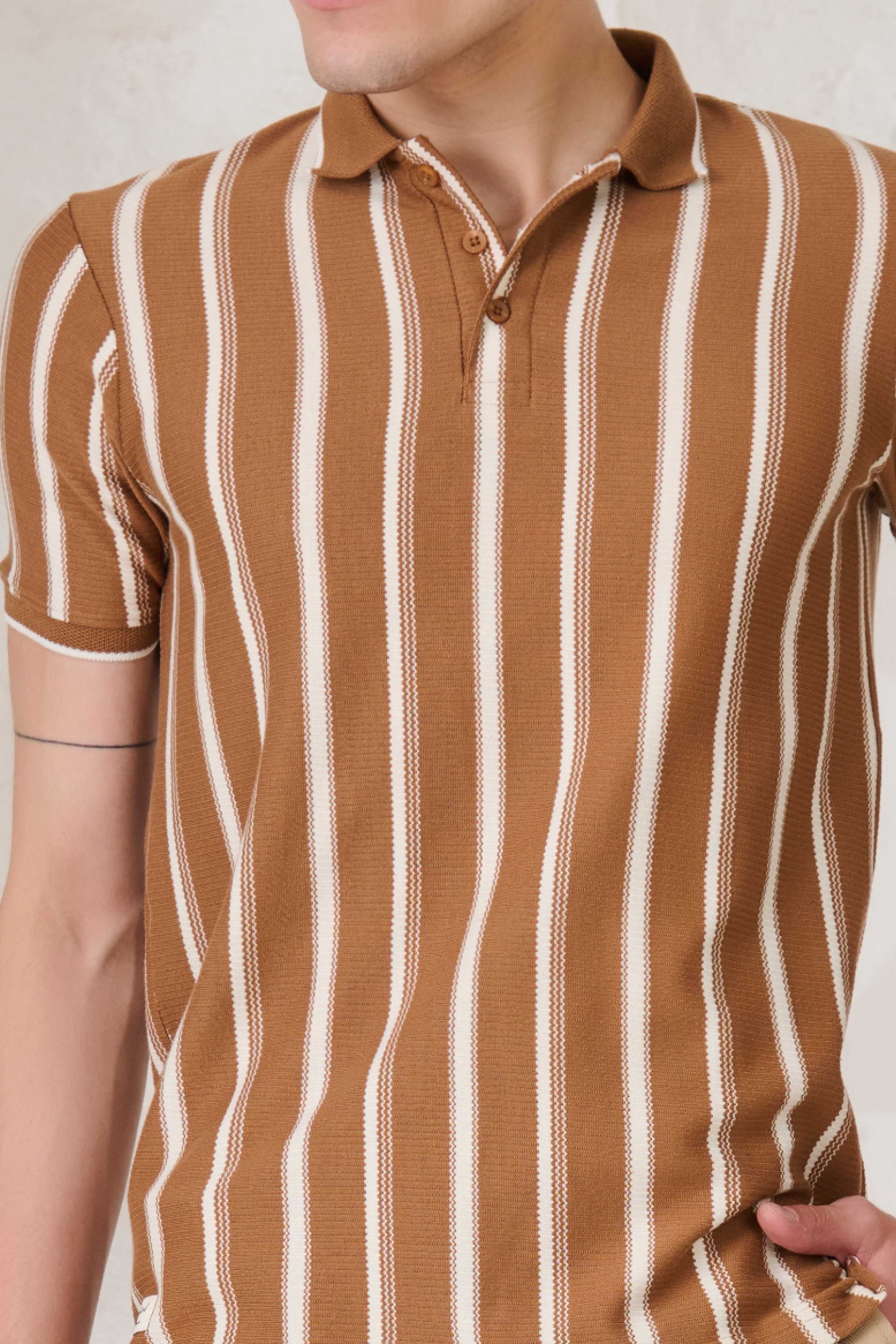 Buy Broad Stripe Textured Polo - Mud Online Shopping view 4