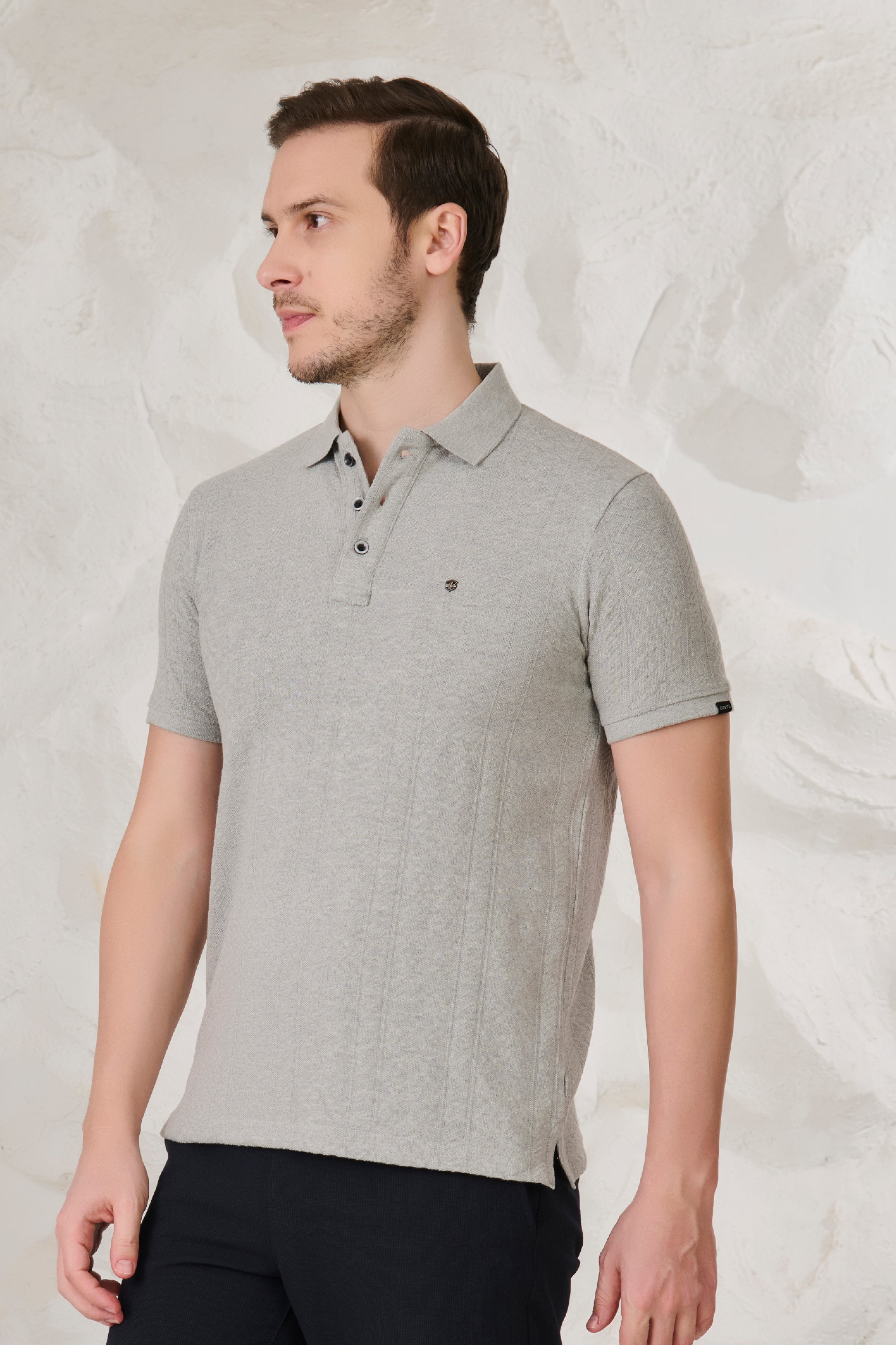 Buy Subtle Stripes Textured Polo - Grey Milange Online Shopping view 2