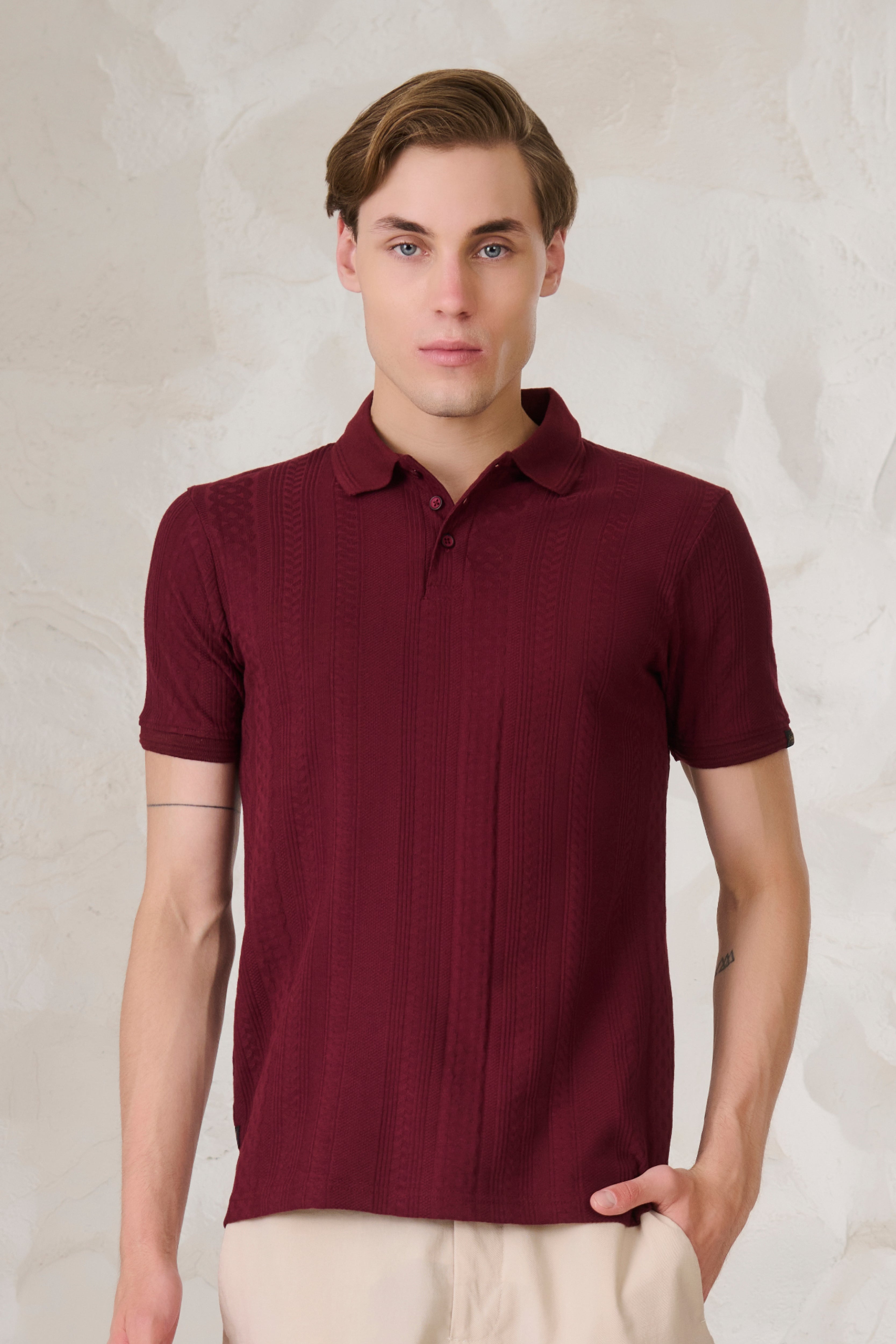 Buy Whirlpool Textured Performance Polo - Wine Online Shopping view 1